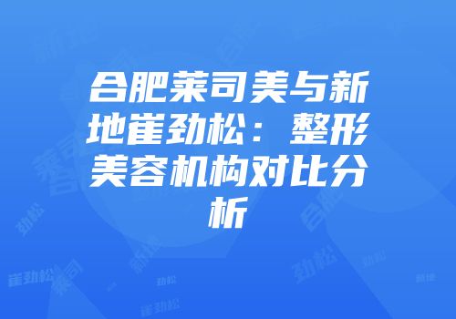 合肥莱司美与新地崔劲松：整形美容机构对比分析