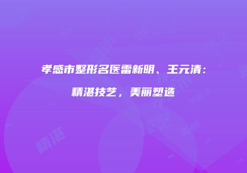 孝感市整形名医雷新明、王元清：精湛技艺，美丽塑造