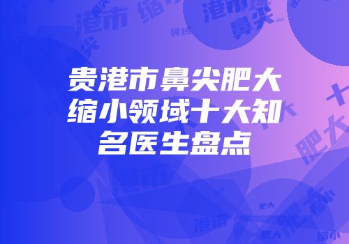 贵港市鼻尖肥大缩小领域十大知名医生盘点