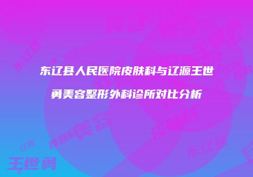 东辽县人民医院皮肤科与辽源王世勇美容整形外科诊所对比分析