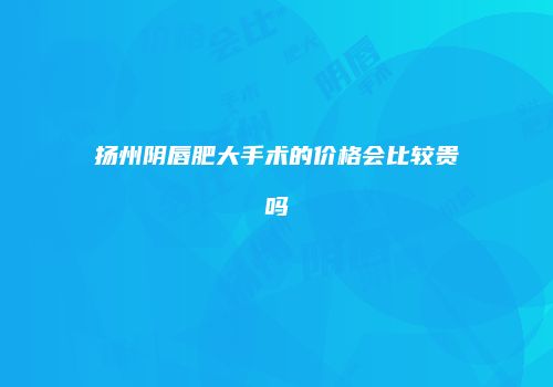 扬州阴唇肥大手术的价格会比较贵吗
