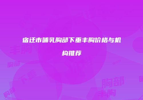 宿迁市哺乳胸部下垂丰胸价格与机构推荐