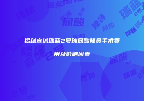 揭秘宣城瑞蓝2号玻尿酸隆鼻手术费用及影响因素