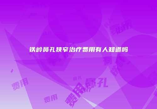 铁岭鼻孔狭窄治疗费用有人知道吗