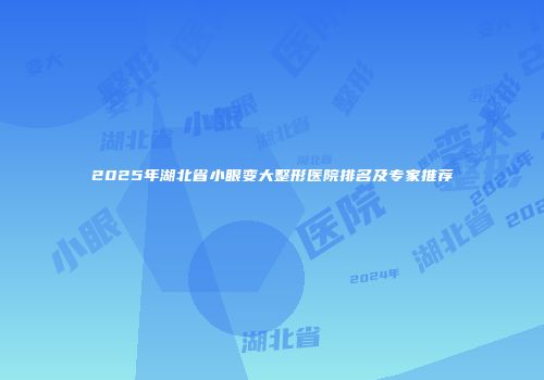 2025年湖北省小眼变大整形医院排名及专家推荐