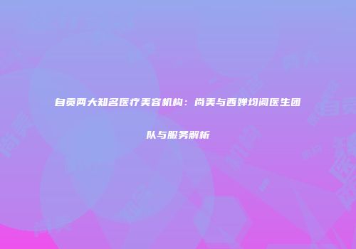 自贡两大知名医疗美容机构：尚美与西婵均阁医生团队与服务解析