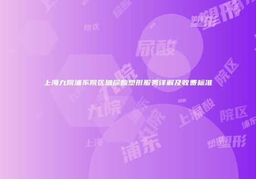 上海九院浦东院区玻尿酸塑形服务详解及收费标准