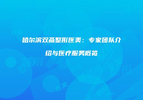 哈尔滨双燕整形医美：专家团队介绍与医疗服务概览