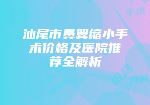 汕尾市鼻翼缩小手术价格及医院推荐全解析
