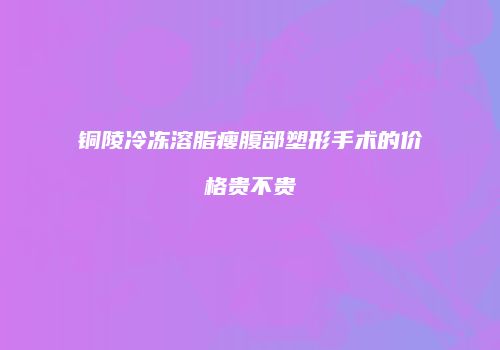 铜陵冷冻溶脂瘦腹部塑形手术的价格贵不贵
