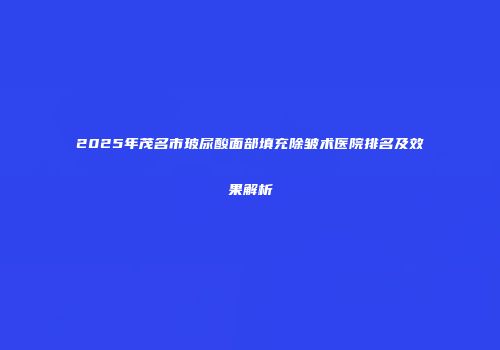 2025年茂名市玻尿酸面部填充除皱术医院排名及效果解析