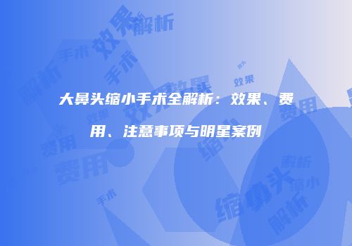 大鼻头缩小手术全解析：效果、费用、注意事项与明星案例