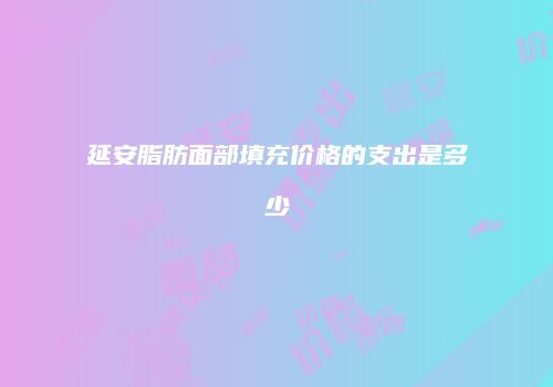 延安脂肪面部填充价格的支出是多少