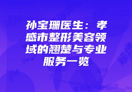 孙宝珊医生：孝感市整形美容领域的翘楚与专业服务一览