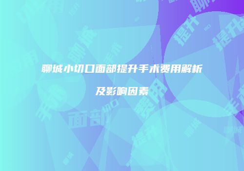 聊城小切口面部提升手术费用解析及影响因素