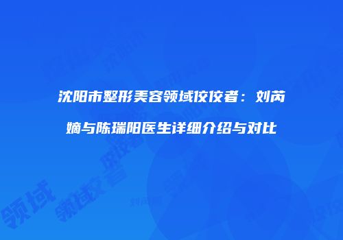 沈阳市整形美容领域佼佼者：刘芮嫡与陈瑞阳医生详细介绍与对比