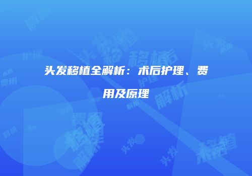 头发移植全解析：术后护理、费用及原理