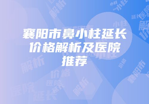 襄阳市鼻小柱延长价格解析及医院推荐