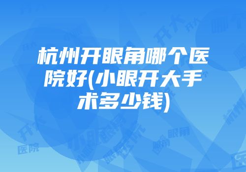 杭州开眼角哪个医院好(小眼开大手术多少钱)