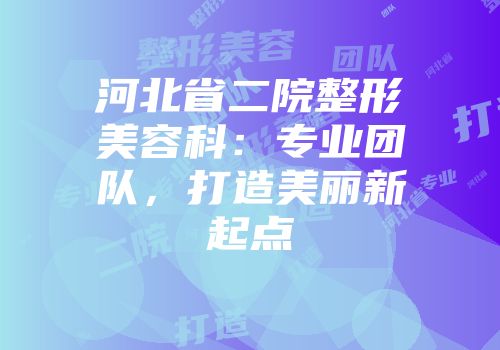 河北省二院整形美容科：专业团队，打造美丽新起点