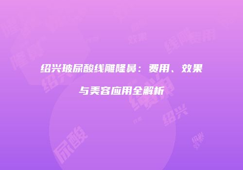 绍兴玻尿酸线雕隆鼻：费用、效果与美容应用全解析