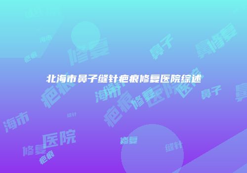 北海市鼻子缝针疤痕修复医院综述