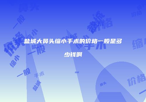 盐城大鼻头缩小手术的价格一般是多少钱啊