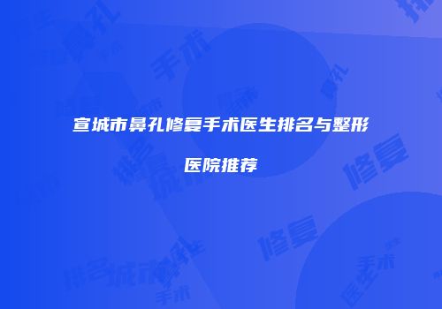 宣城市鼻孔修复手术医生排名与整形医院推荐