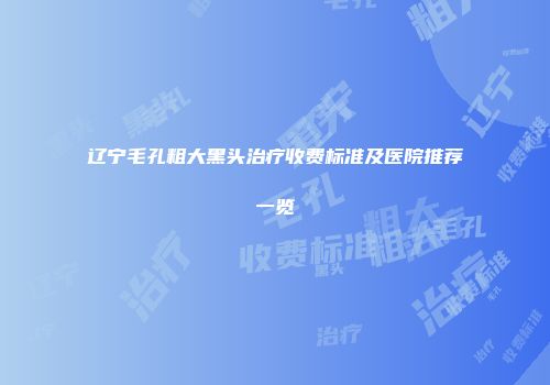 辽宁毛孔粗大黑头治疗收费标准及医院推荐一览